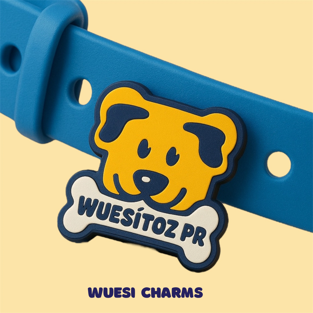 Wuesi Charms