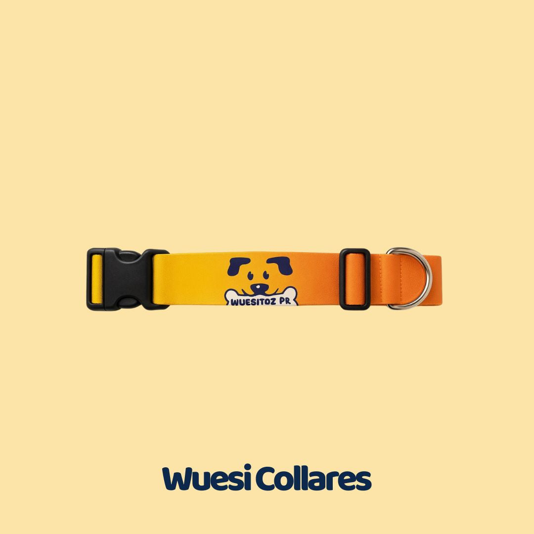 Wuesi Collares