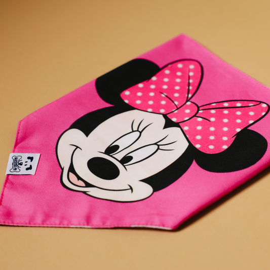 Minnie Chic